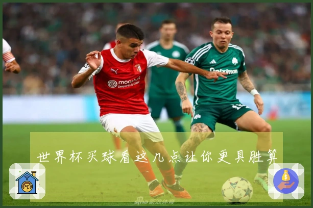 世界杯买球看这几点让你更具胜算