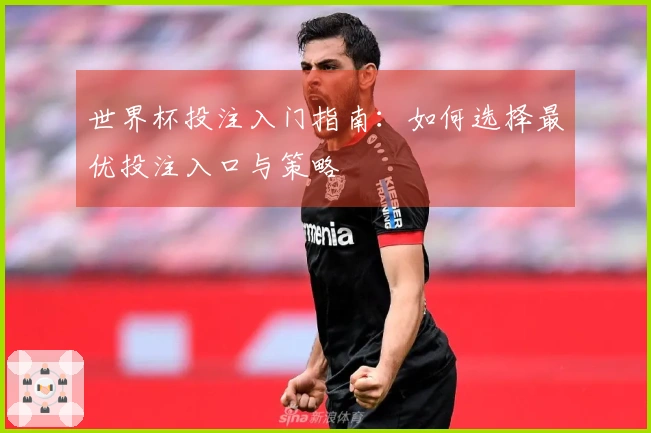 世界杯投注入门指南：如何选择最优投注入口与策略