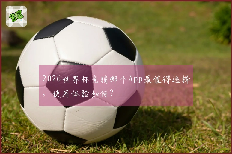 2026世界杯竞猜哪个App最值得选择，使用体验如何？