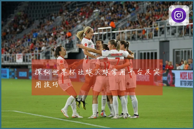 探秘世界杯让球买球常用平台及实用技巧