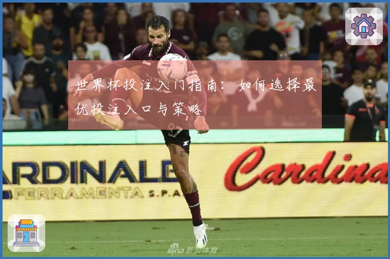 世界杯投注入门指南：如何选择最优投注入口与策略